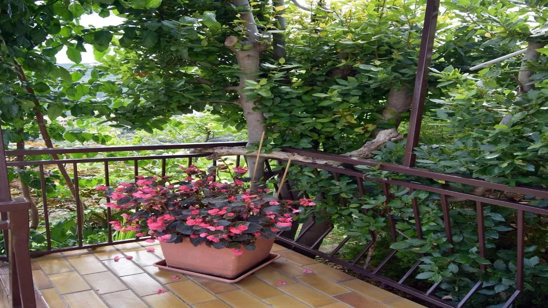 2 Bedroom Apartment In Rabac